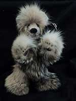 Spokane Airport Gift Shop Bear